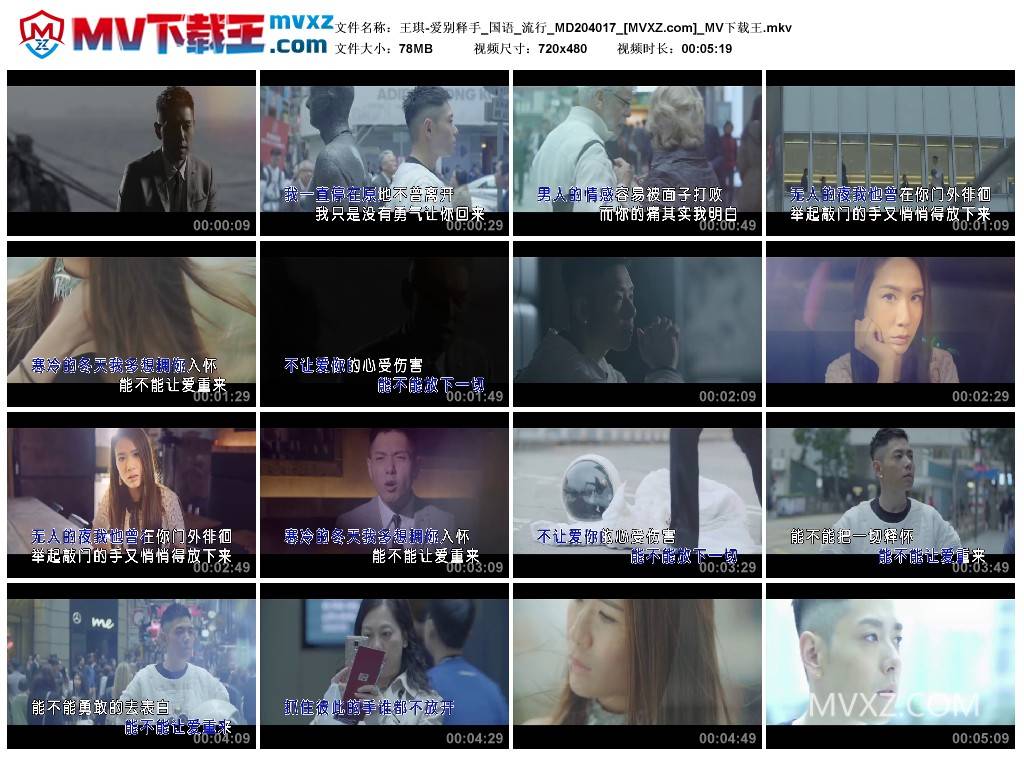 王琪-爱别释手_国语_流行_MD204017